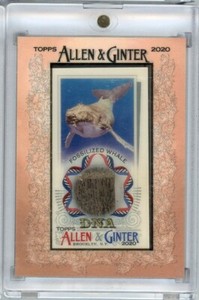 Allen Ginter D N A Relic for sale | eBay