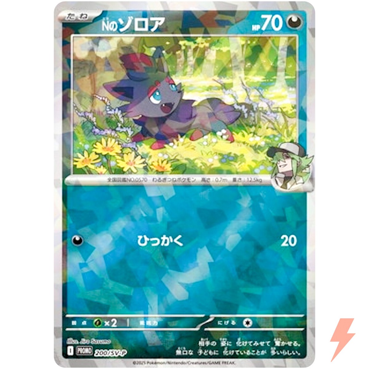 N's Zorua Sealed 200/SV-P Collection File Promo - Pokemon Card