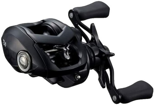 Daiwa STEEZ A II TW 1000XHL Baitcasting Reel | eBay