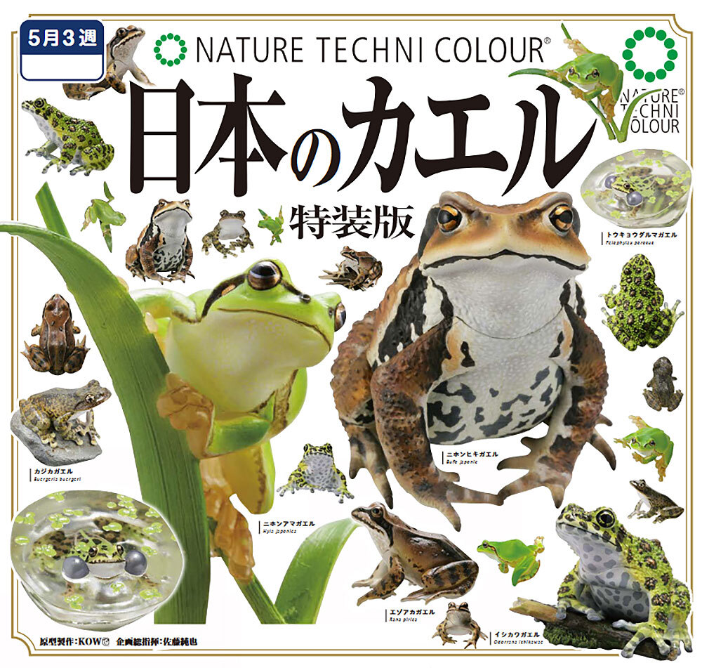 Nature Techni Colour Japanese Frogs Figure Special Edition Tree