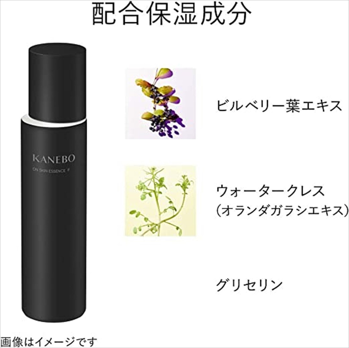 KANEBO On Skin Essence F 125ml toner | eBay