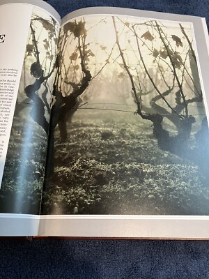 Book of Wine by Norman Bezzant (1989, Hardcover) | eBay