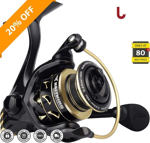 カストキング スパルタカス3 3000 Spartacus Ⅲ カストキング