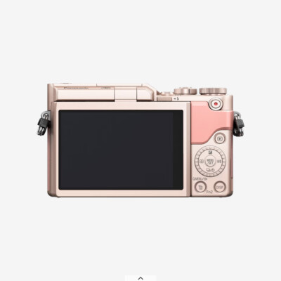 Panasonic mirrorless single-lens Lumix GF10 double lens kit PINK