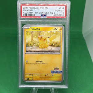 Pokemon Illustration Contest | eBay