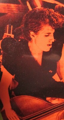 Stray Cats: Live at Montreux 1981 NEW DVD,Concert,15 Tracks Rock