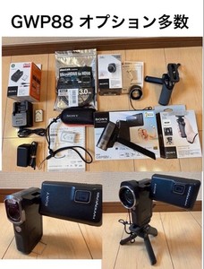 Sony Gwp88 | eBay