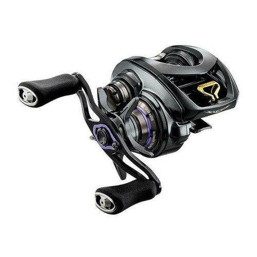 Daiwa 24 STEEZ SV TW 100HL Baitcasting Reel | eBay