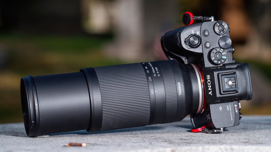 Tamron 70-300mm F4.5-6.3 Di III RXD Review | PCMag