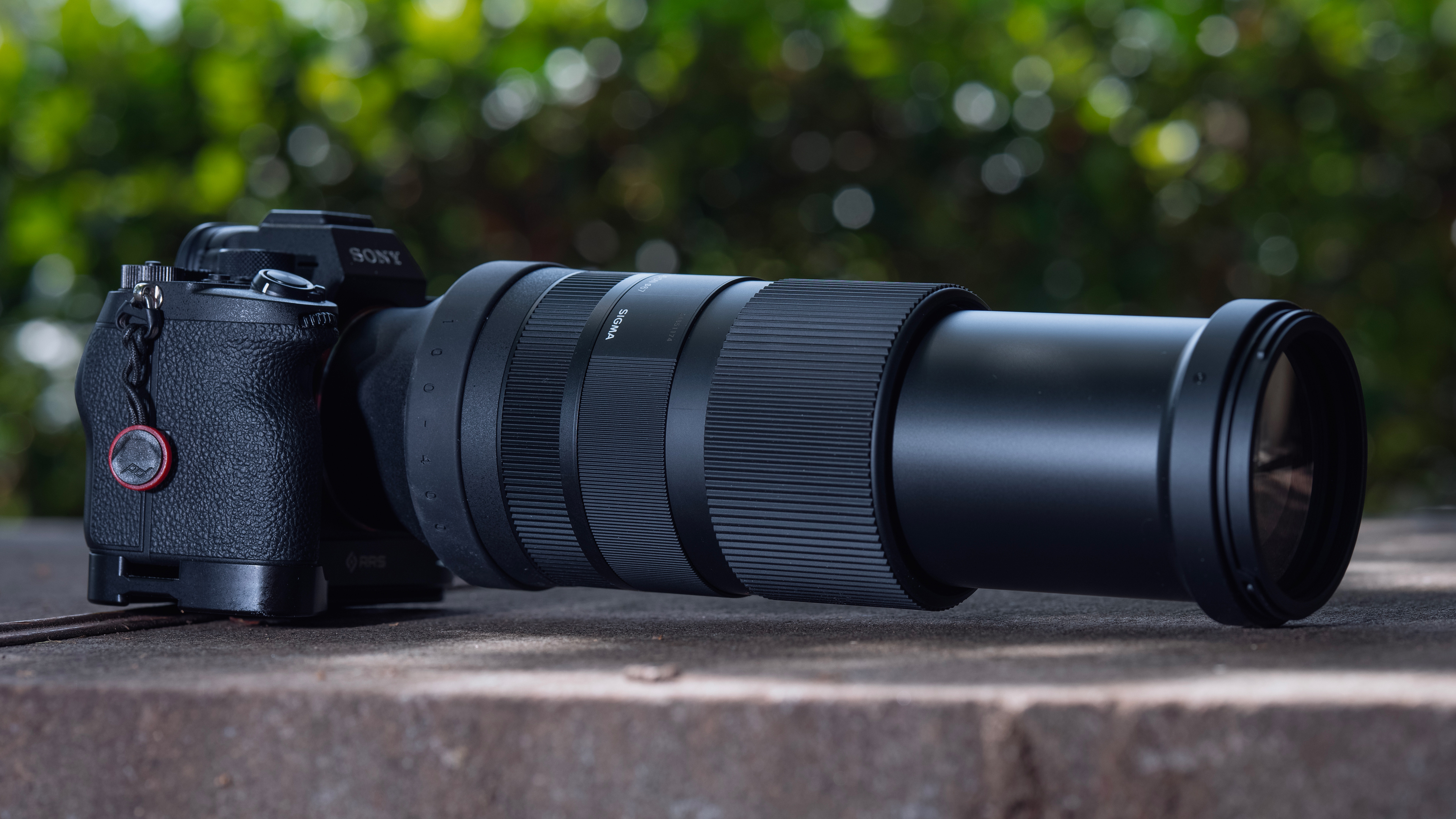 Sigma 100-400mm F5-6.3 DG DN OS Contemporary Review | PCMag