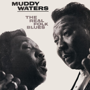Muddy Waters Sings Big Bill Broonzy - Album by Muddy Waters | Spotify