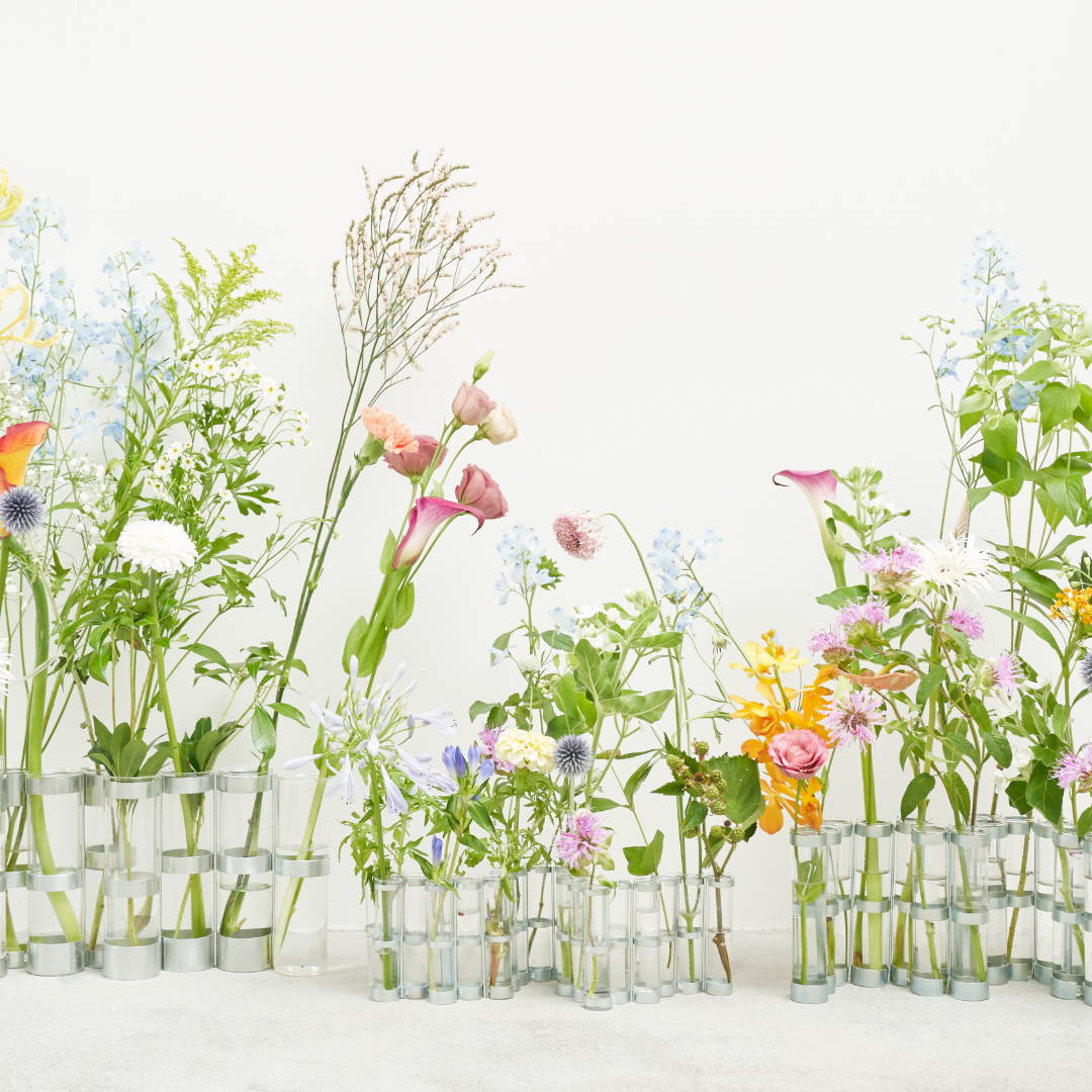 わたしが好きな、ツェツェ・アソシエ。