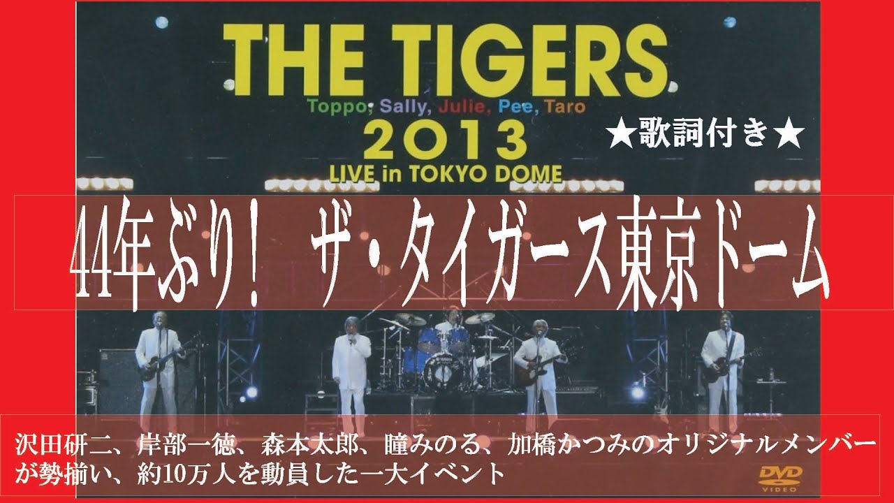 ♢ザ・タイガース 2013東京ドームコンサート♢#ザ・タイガース#懐メロ