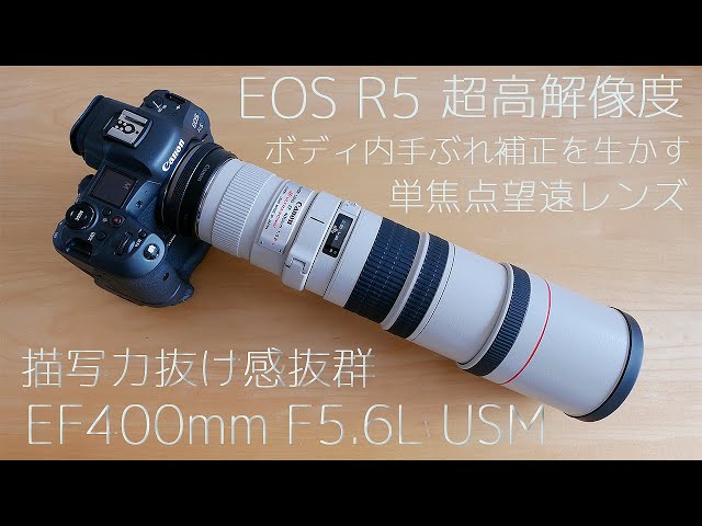 Canon EOS R5】高解像度とボディ内手ぶれを生かす描写力抜群単焦点望遠