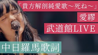 Aimyon愛繆 - 『貴方解剖純愛歌〜死ね〜』LIVE【AIMYON BUDOKAN -1995