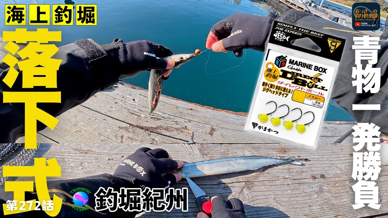 海上釣堀】初釣りでツ抜け！攻めのダイレクトボールと守りのガチロック