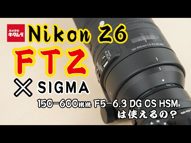 ニコン Z6とマウントアダプターFTZでシグマ 150-600mm F5-6.3 DG OS