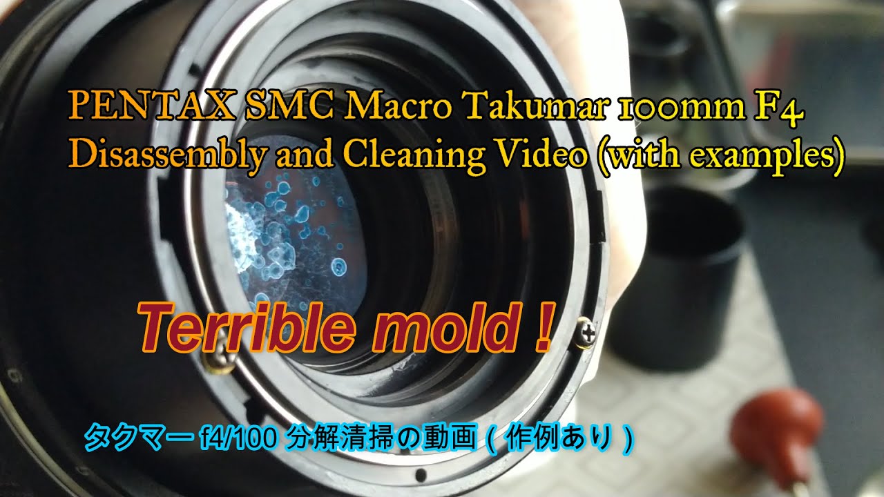 PENTAX SMC MACRO TAKUMAR 100mm F4 Disassembly and Cleaning Video
