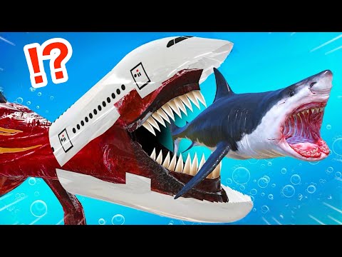 The monster airplane that came to the sea, 