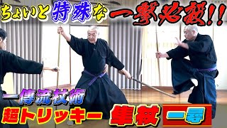 一傳流の長～い隼杖 －一尋－】【瞬撃！】隼杖“ハヤブサの如く”長く