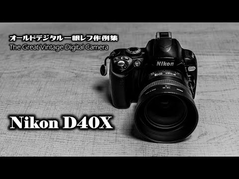 オールドデジタル一眼レフカメラ作例集 The Great Vintage Digital