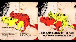 SNAKEMAN SHOW IN THE '90s -THE ADRIAN SHERWOOD REMIX- - YouTube