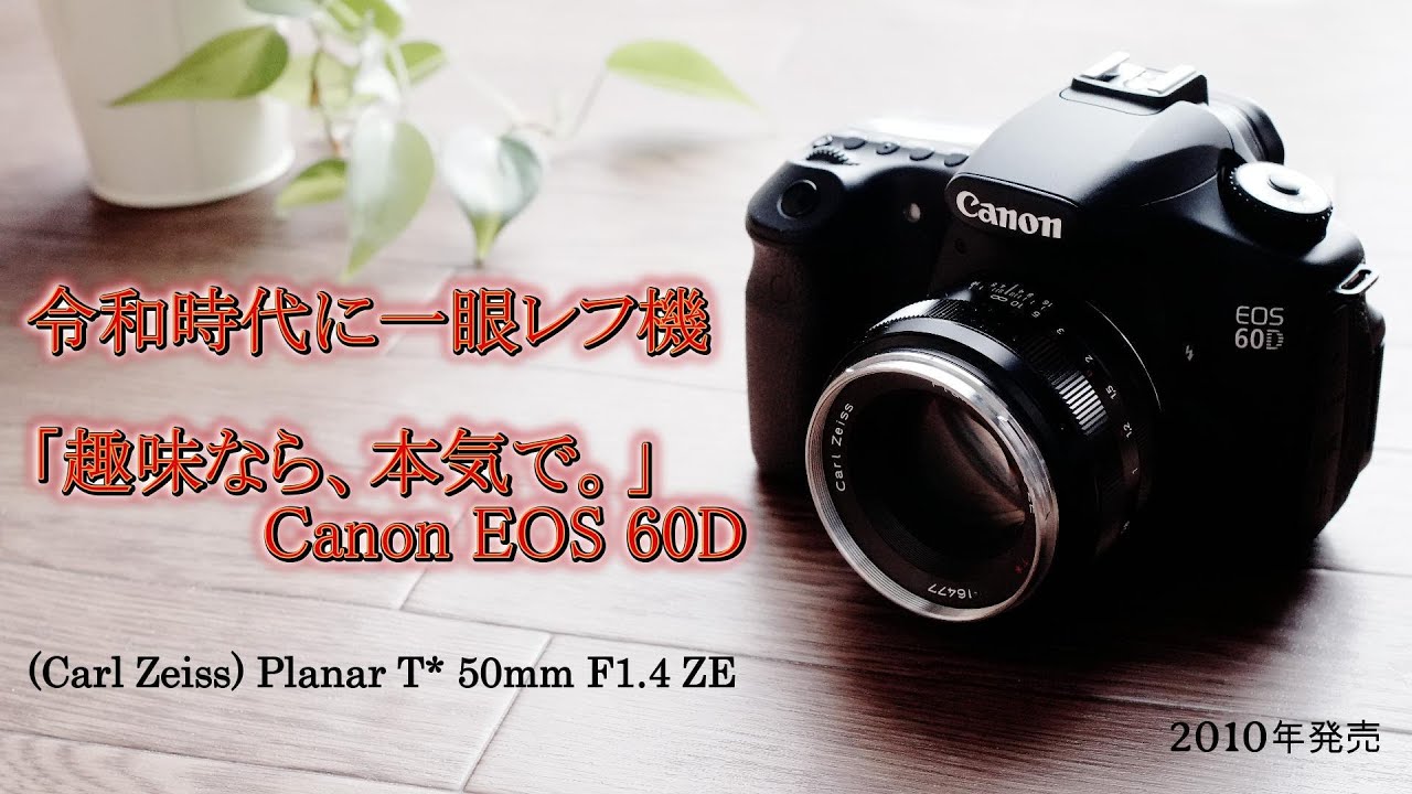 使い方・作例紹介】EOS 60Dは3万円で買える高コスパ機！ おすすめAPS-C