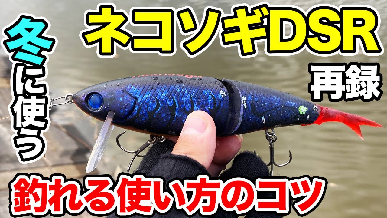 バス釣り】ネコソギDSRの使い方やアクション!!チューニングを見直して