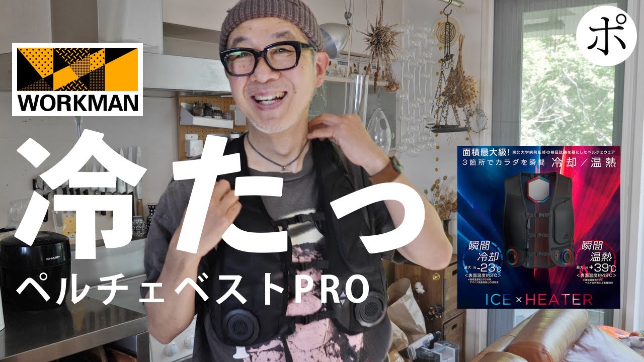 超高額で超高性能】ワークマン新作ペルチェベストPROは買いか