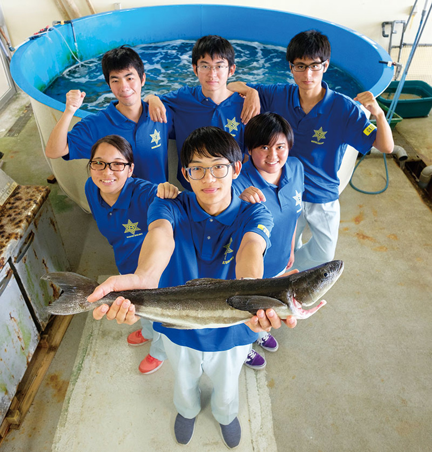 沖縄水産高等学校 海洋生物系列 - 自分たちで育てたフルーツ魚【沖縄の