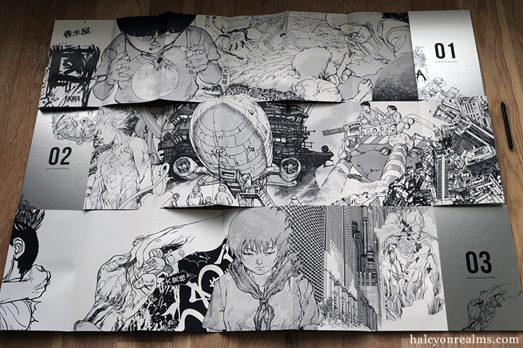 Akira Art Of Wall Art Book Review - Halcyon Realms - Art Book