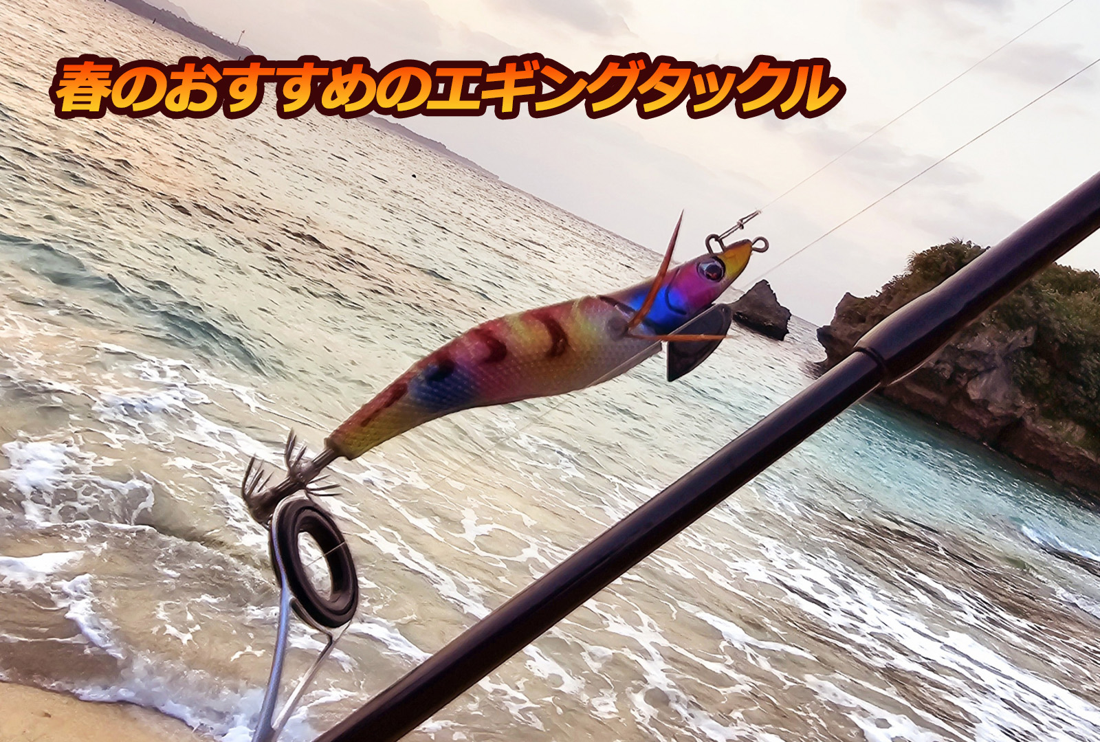 春イカ開幕】大型のアオリイカの狙い方！おすすめのエギも合わせて紹介