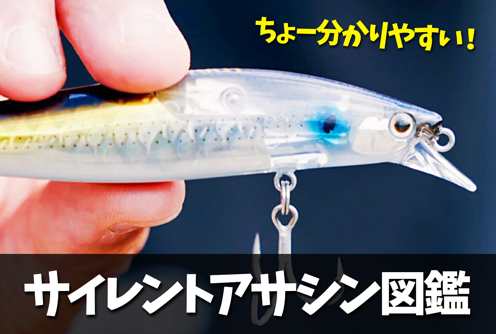 サイレントアサシン図鑑】これを見ればあなたに最適なサイレント