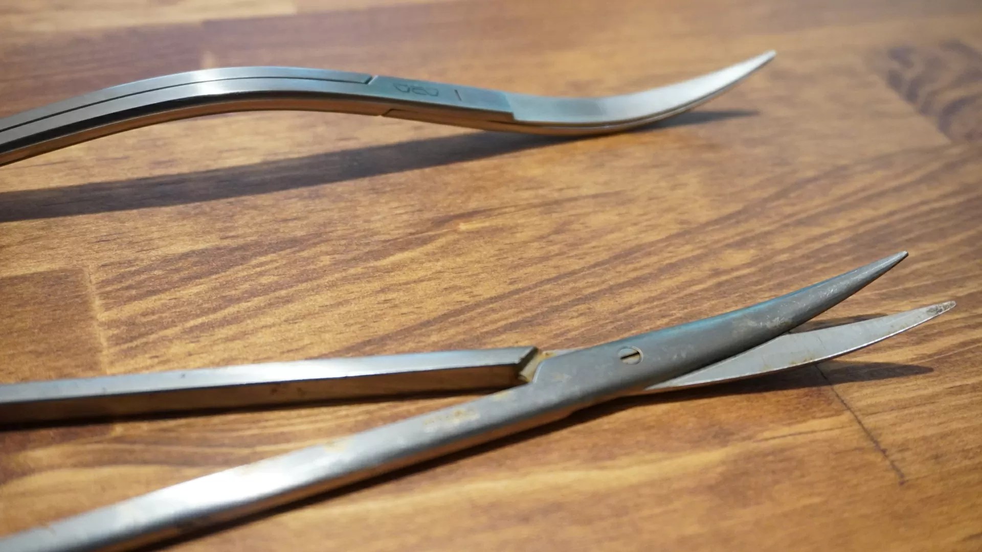 レビュー】ADA プロシザース ウェーブのススメ【アクアリウム