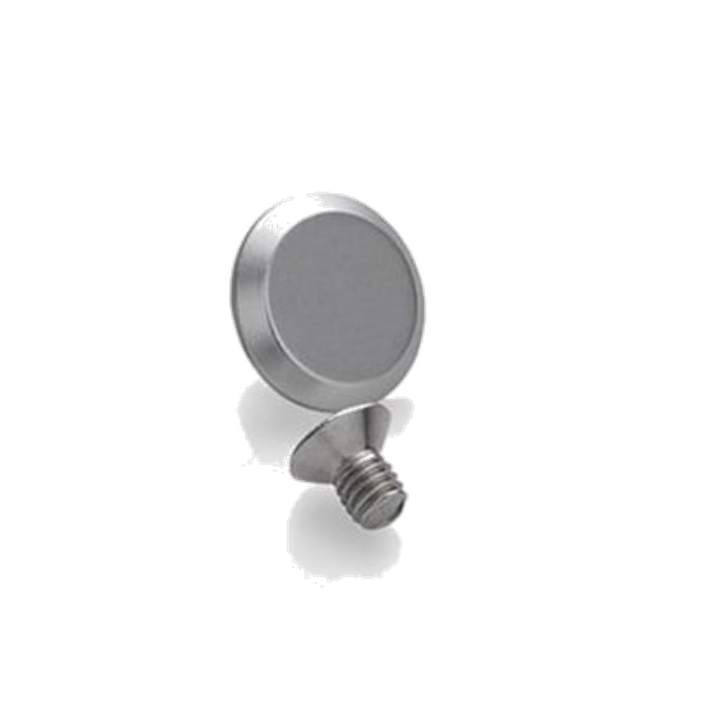 BROOKS CAMBIUM RIVET SILVERカンビウム リベット シルバー - BROOKS