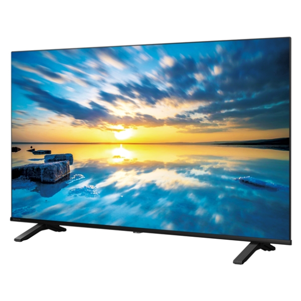 TVS REGZA 【REGZA】4K液晶レグザ50V型 新4K衛星放送・地上・BS・110度
