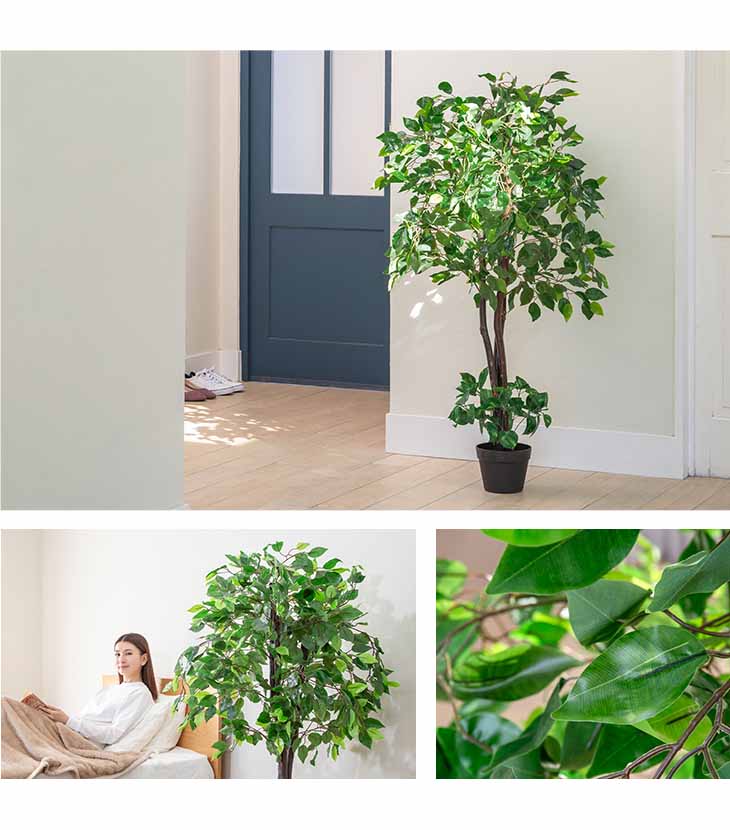 光触媒インテリアグリーン ベンジャミン 光触媒 人工観葉植物 フェイク