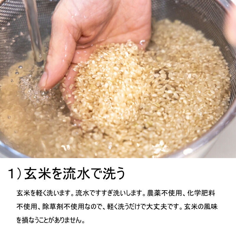 楽天市場】【楽天市場ランキング1位獲得】【令和7年度産新米】玄米