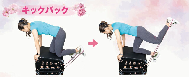 楽天市場】GLUTE BUILDER BOX PRO グルーツビルダーボックス プロ