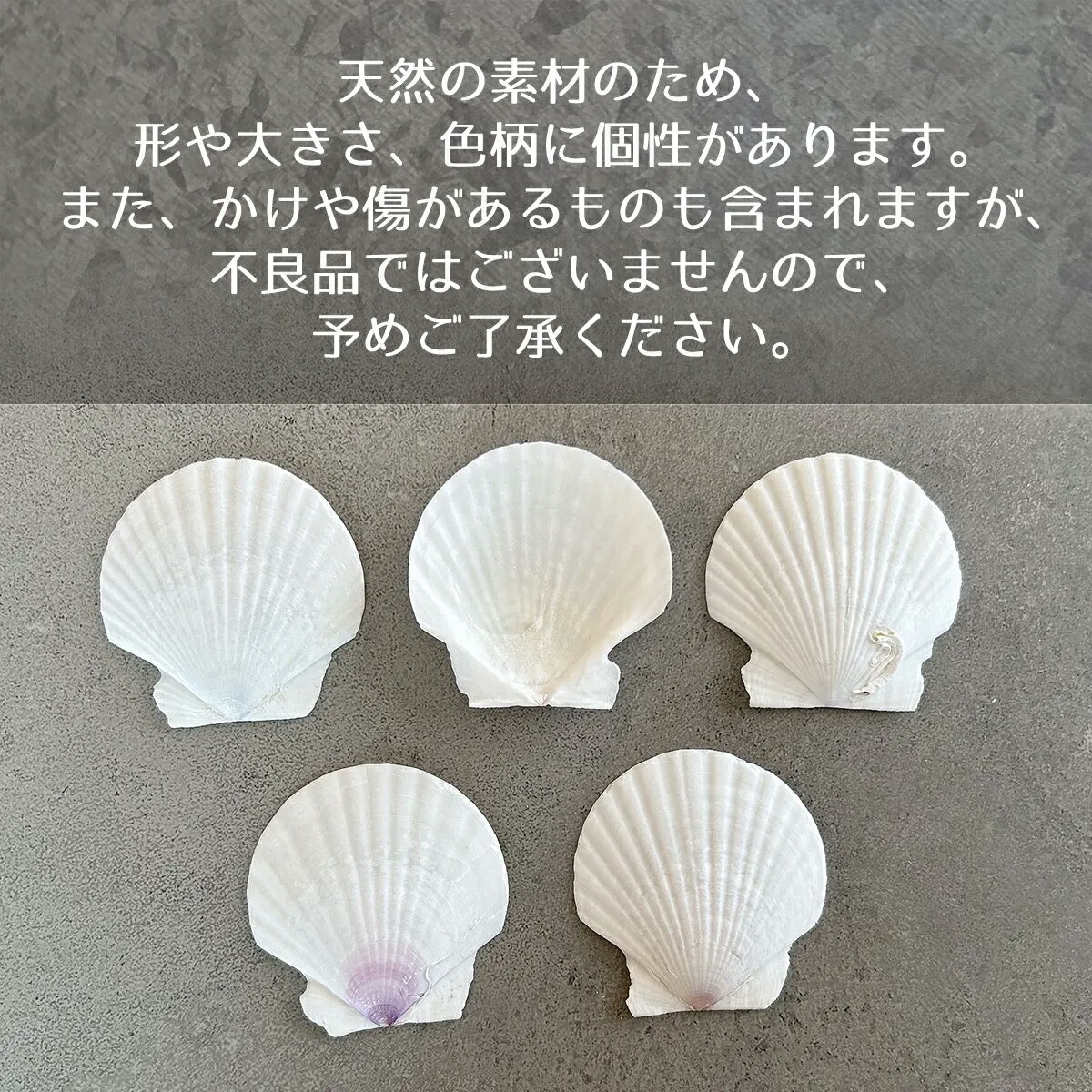 楽天市場】【最大1280円OFFクーポンあり】【自然素材】5枚 本物の