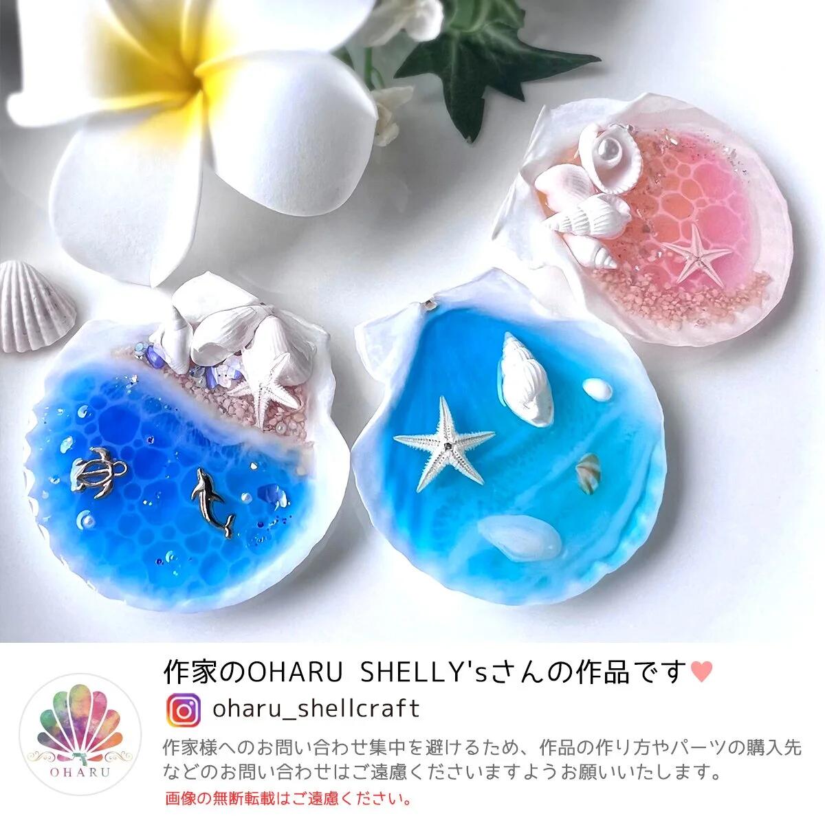 5枚 本物のホタテ貝 ちょこっと大きめ♪- 手作り雑貨屋 * 雑貨好き