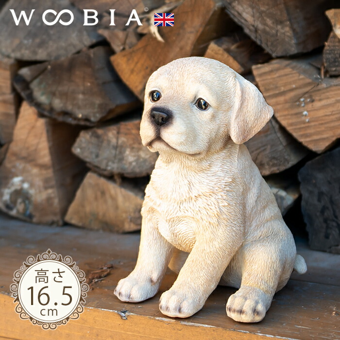 楽天市場】【スーパーセール 最大10%OFF 】ちょこんと座るわんこ