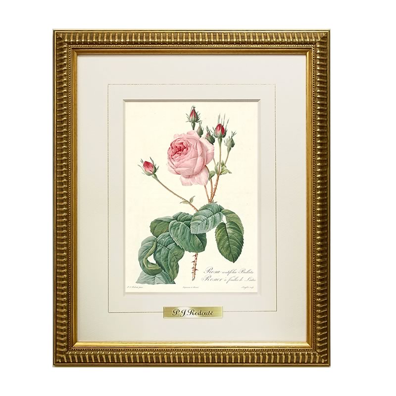 楽天市場】【スーパーセール価格】 絵画 インテリア ルドゥーテ ローズ