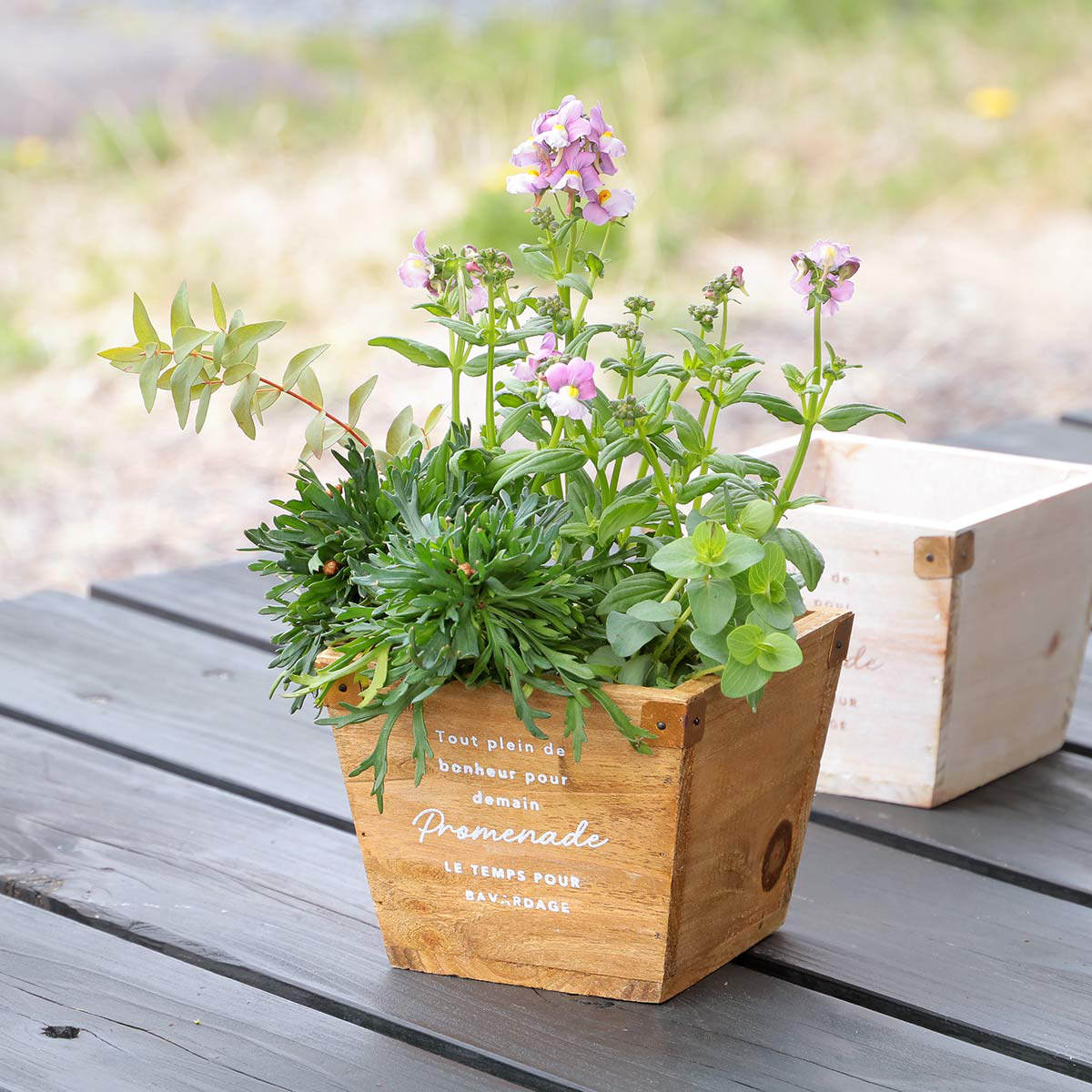 楽天市場】植木鉢 ナチュラルウッドプランタースクエア Sサイズ 木製