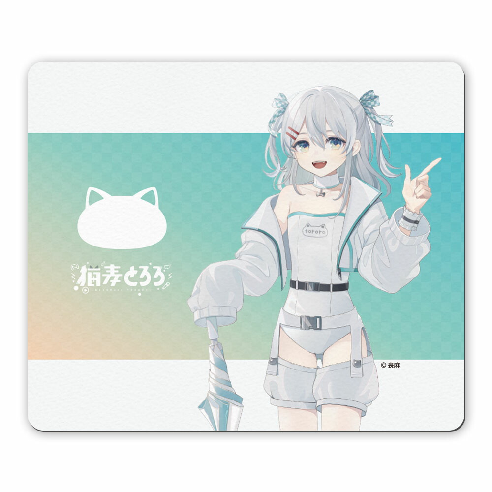 vt-001-b_1.jpg