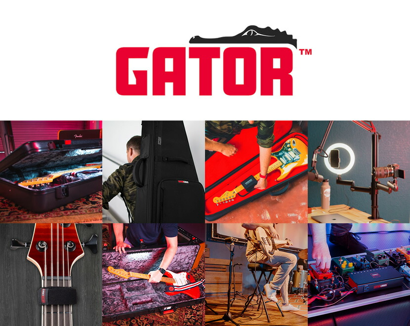 楽天市場】GATOR LCD Tote Series LCD(液晶ディスプレイ)用キャリング