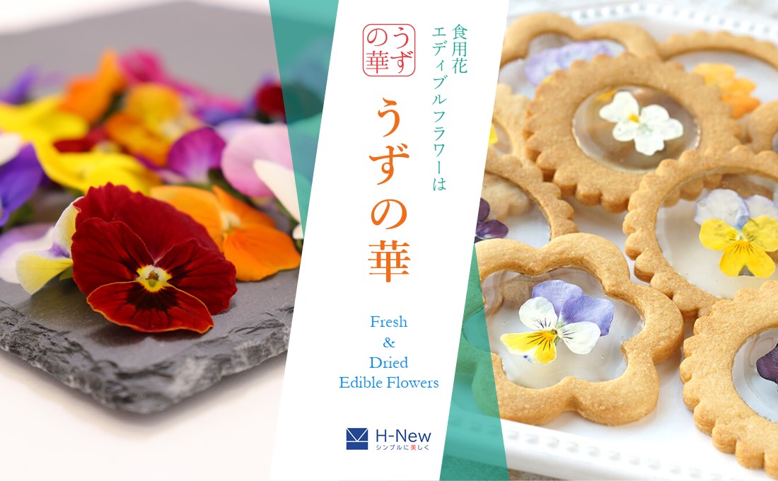 楽天市場】うずの華【植物工場産】食用花 エディブルフラワー (ビオラ