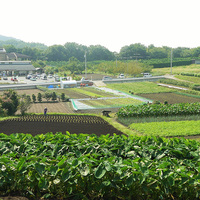 里山シェア大井松田(大井町) | 体験農園なら貸し農園（市民農園）の