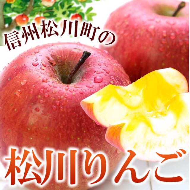 長野 松川町の幻のりんご（ふじ）5kg 天竜川の恵みで蜜たっぷり