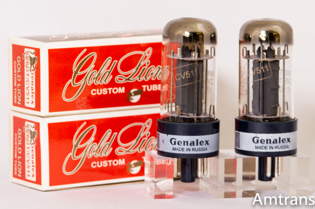 6V6GT Gold Lion ゴールドライオン マッチドペア